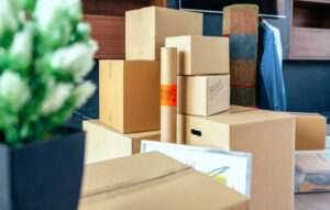 Moving with stacked boxes and plant